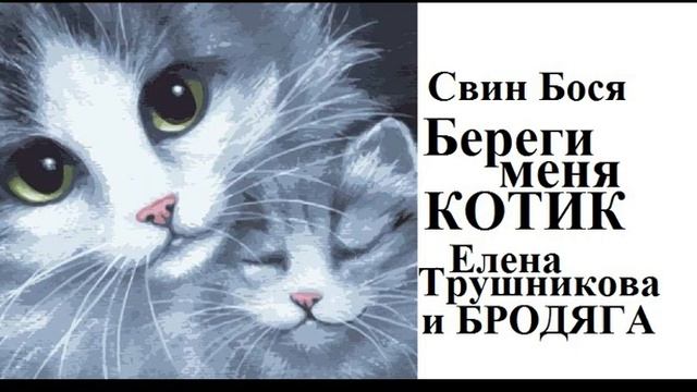Свин Бося   Береги меня Котик
