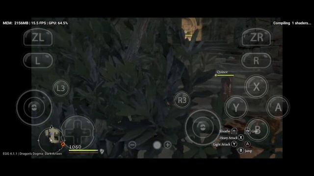 Dragon's Dogma: Dark Arisen | EGG NS 4.1.1 | Poco F4 + Settings