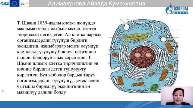 10 класс, Биология, Алимахунова Айзада Кумахуновна.