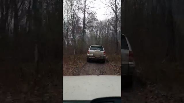 вывезли рафика на прогулку