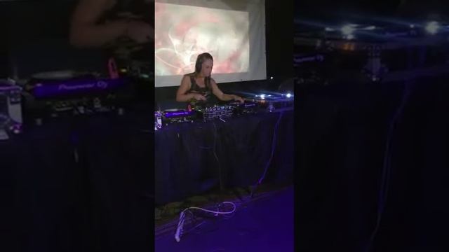 Linz-E @ Nu:Logic Show In Asheville