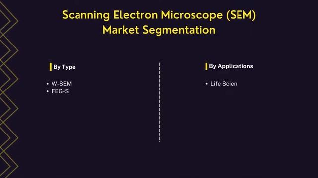 Scanning Electron Microscope (SEM) Market | Industry Data Analytics | IDA