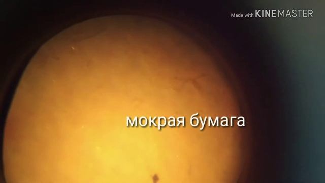 !! Вещи под микроскопом !!