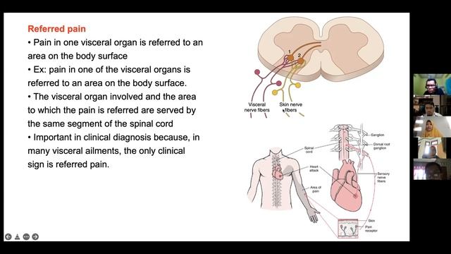 Kuliah 7 Sistem Saraf I  Sensory 2 (Pain & Thermal Sensation)