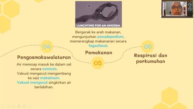 BAB 2  BIOLOGI SEL DAN ORGANISASI SEL  2 2 Proses Hidup Organisma Unisel BIOLOGI T 4 KSSM