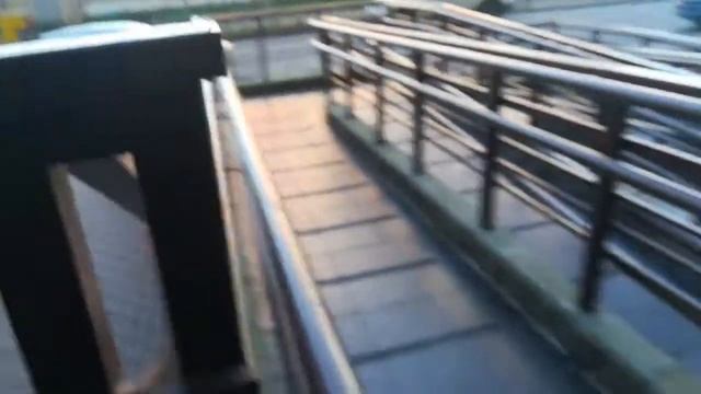 Новый Район Пескаревка Санкт-Петербурга