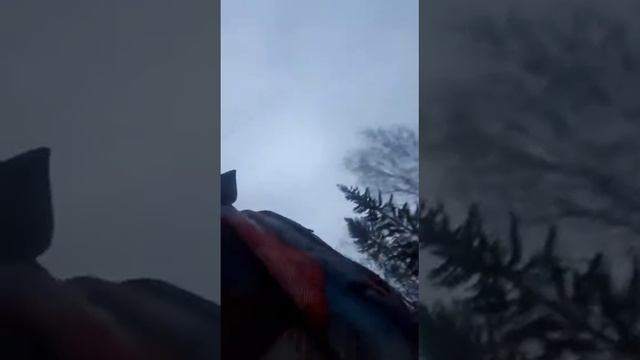 Влог нашли IPhone 5S