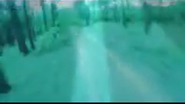 20 января 2017 г.