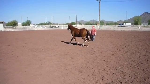 Shelby A Star 9/5/2010