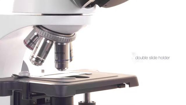 D0ae6cb591e3b44725c73d52f340002e