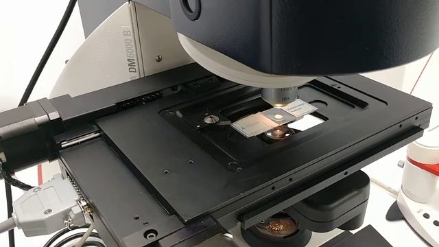 Leica DM6000 B Fluorescence Motorized Microscope Unit3 Pred DM6 [BOSTONIND] - 25311