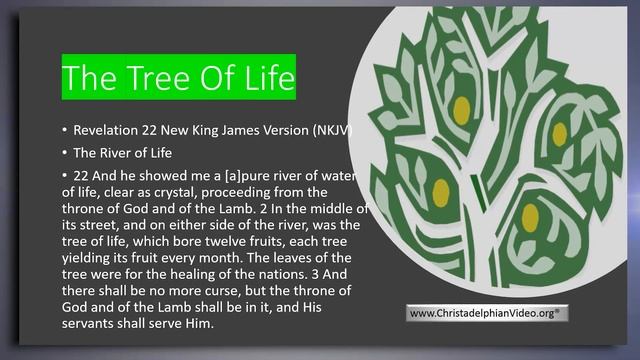 The 'REAL' Eden Project!