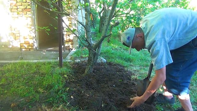 Серебро и золото на Алмазе.
