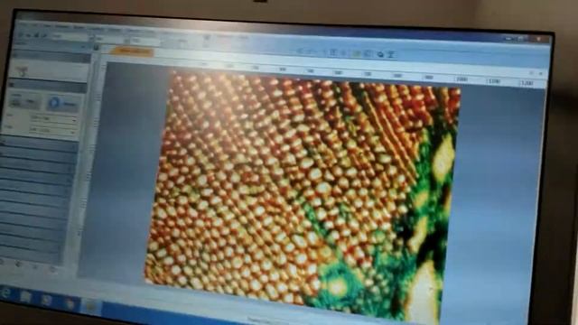 Nikon TE2000-U Motorized Microscope Fluorescence Polarization DIC Pred. Ti, TI2 [BOSTONIND] - 13211