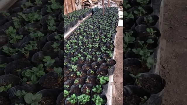 19 декабря 21год