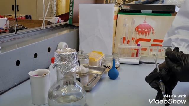 Лабораторная работа 