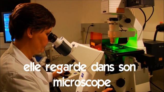 Французский язык для начинающих # Vocabulaire # Elle Regarde Dans Son Microscope