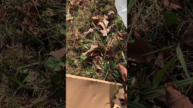 Differential Fluid Change And Rear Axle Swap On Jeep Cherokee Part 1