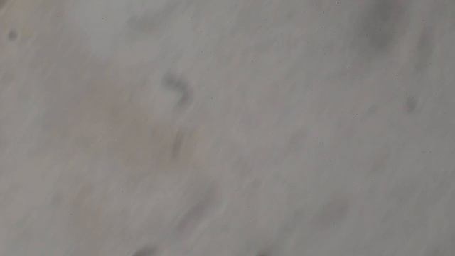 Dust On Nikon Microscope - Levers That Change Path From Binocular To Camera, And Camera To Video