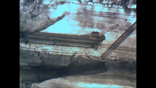 движение жидкости по трубчатым спиралям