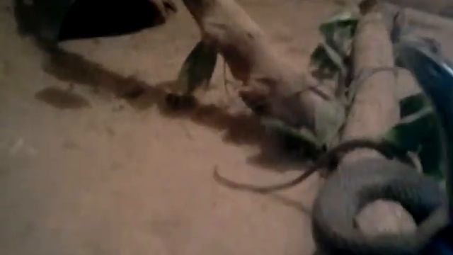 Hurgada Safari Trip 9-3-2012 Part-7