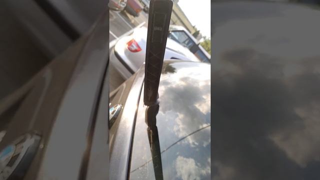 Развитие общества