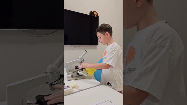 рассмотрим микроскоп БИОЛАМ ЛОМО      и создадим препарат из кожицы лука