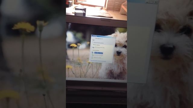 HOW TO: Fix ANY Google Play Store/Android Market Bug On Android