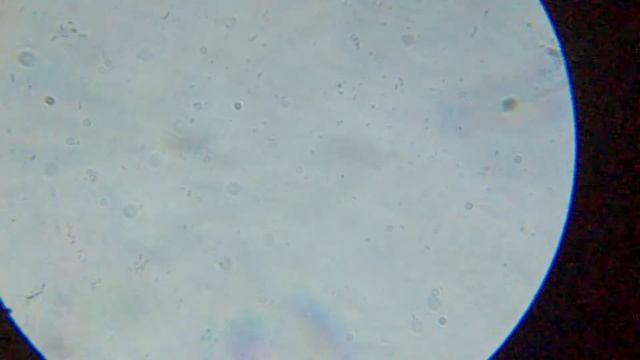 890e12dd831a1636a87cf2e72010e639