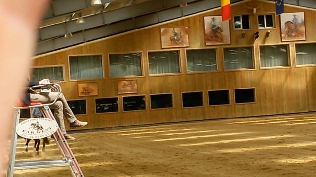 Jac Barbee Dream Regio Paris Reining 2016