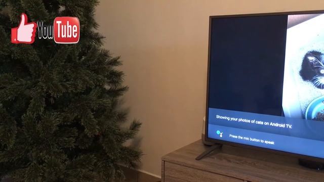 Google Assistant On Android TV