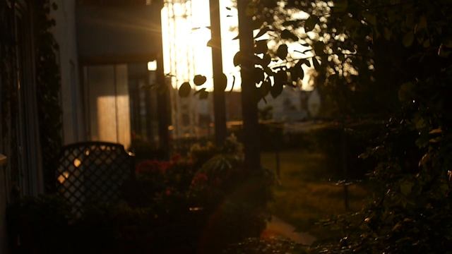 Helios 44-2 & Co. Funky Lens Flares From Soviet Vintage Lenses