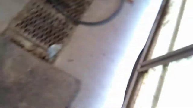 Chrysler Firepower Engine, Trying To Start Up