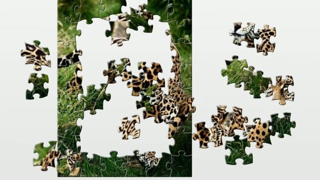 0e1c07dbc33acd2044ff4a6a51301c5b