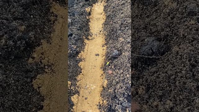 6da8bc75e5d6255619d8bfe4c9aa0da0