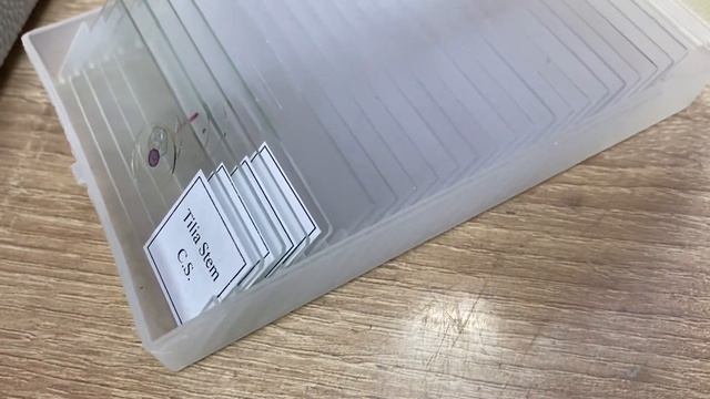 5 ноября 2022 г.