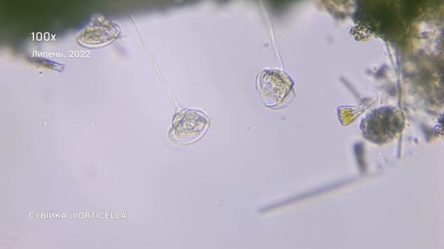 730ad194ab6e5dc3c324ae16df9a8334