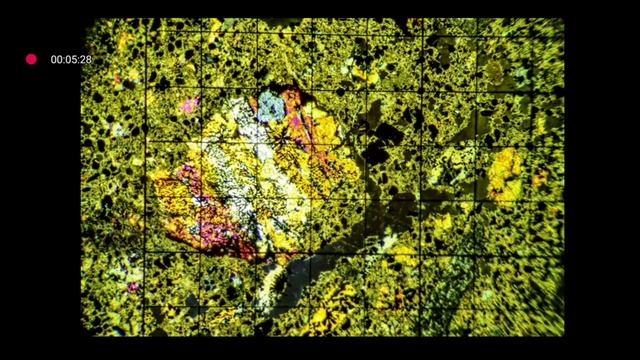 Хондрит импактного происхождения.