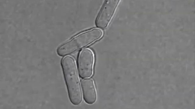 E6b726d3129aec1788f0925680f8a8b1