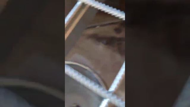 Видео отзыв