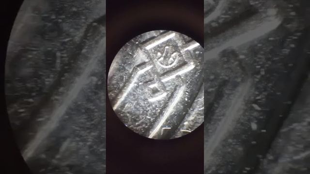 2 МОНЕТЫ ПОД ЭЛЕКТРОННЫМ БИОЛОГИЧЕСКИМ МИКРОСКОПОМ