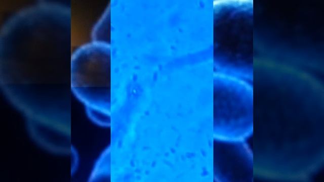 77cb754a28d05eb8034d401b1c7e1226