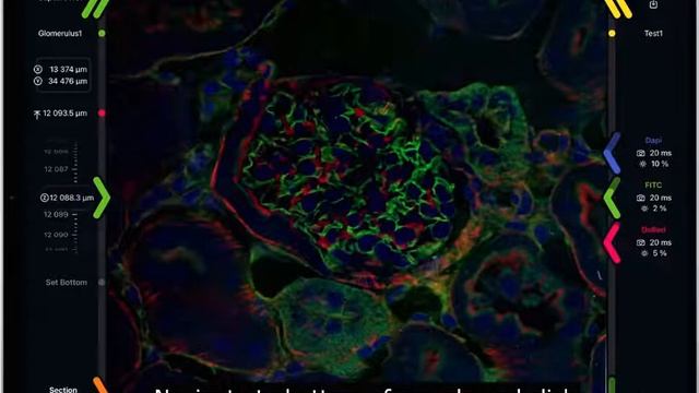 Задание диапазона съемки Z-стека