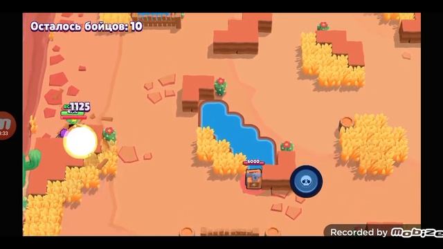 Как получить бесплатный скин в меджик бравл?!?!😱😱 заходи раскажу