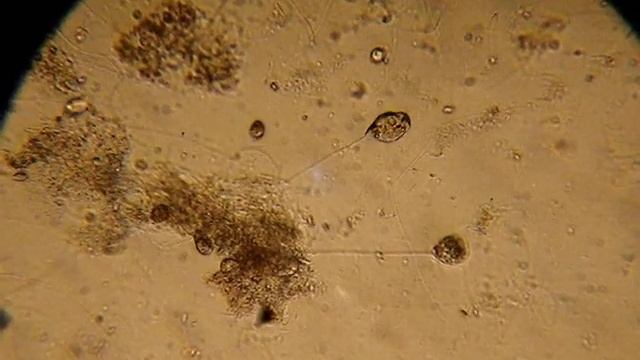 5d75024b592015acd9214e277da23934