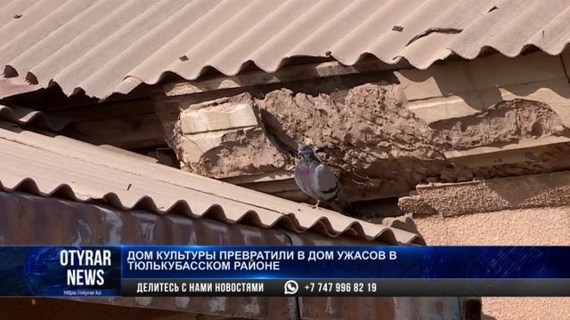 Дом культуры превратили в дом ужасов в Тюлькубасском районе