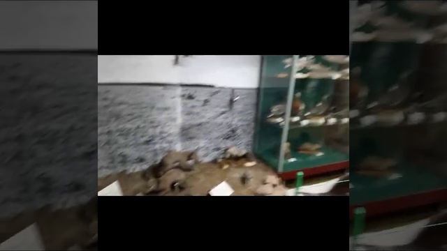 Наш деревенский музей.