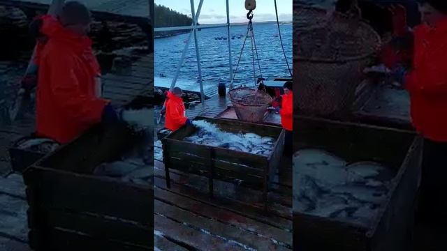 Da42504ac6b5570d9e2e1313cc439191