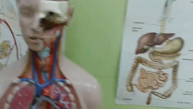 Музей интересной науки 1