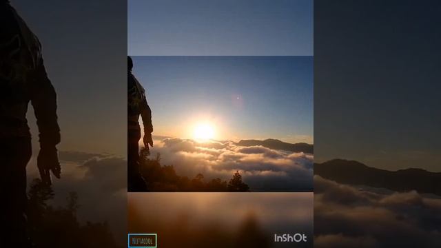 Alan walker style- wait for me